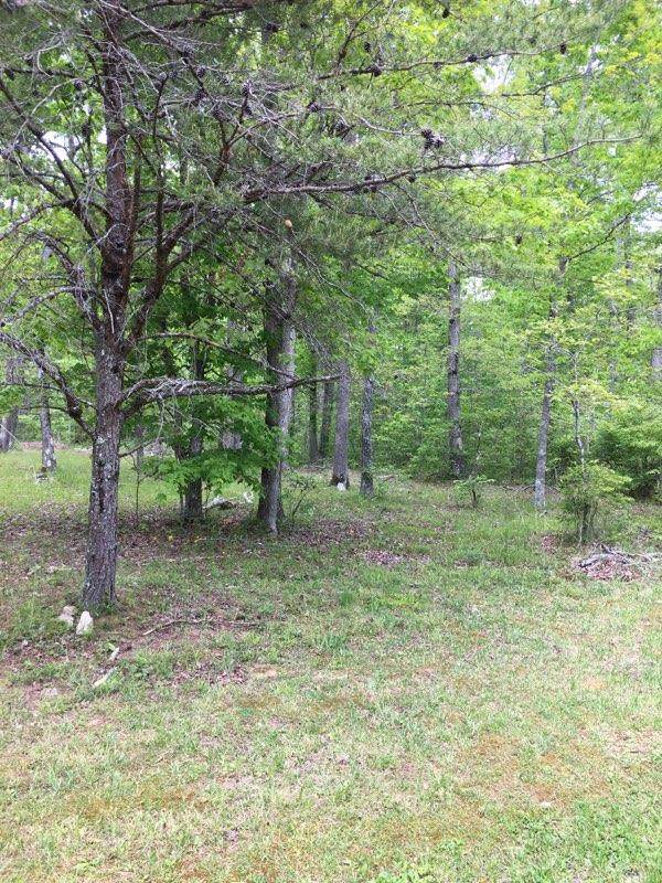 Timothy Drive - Photo 1