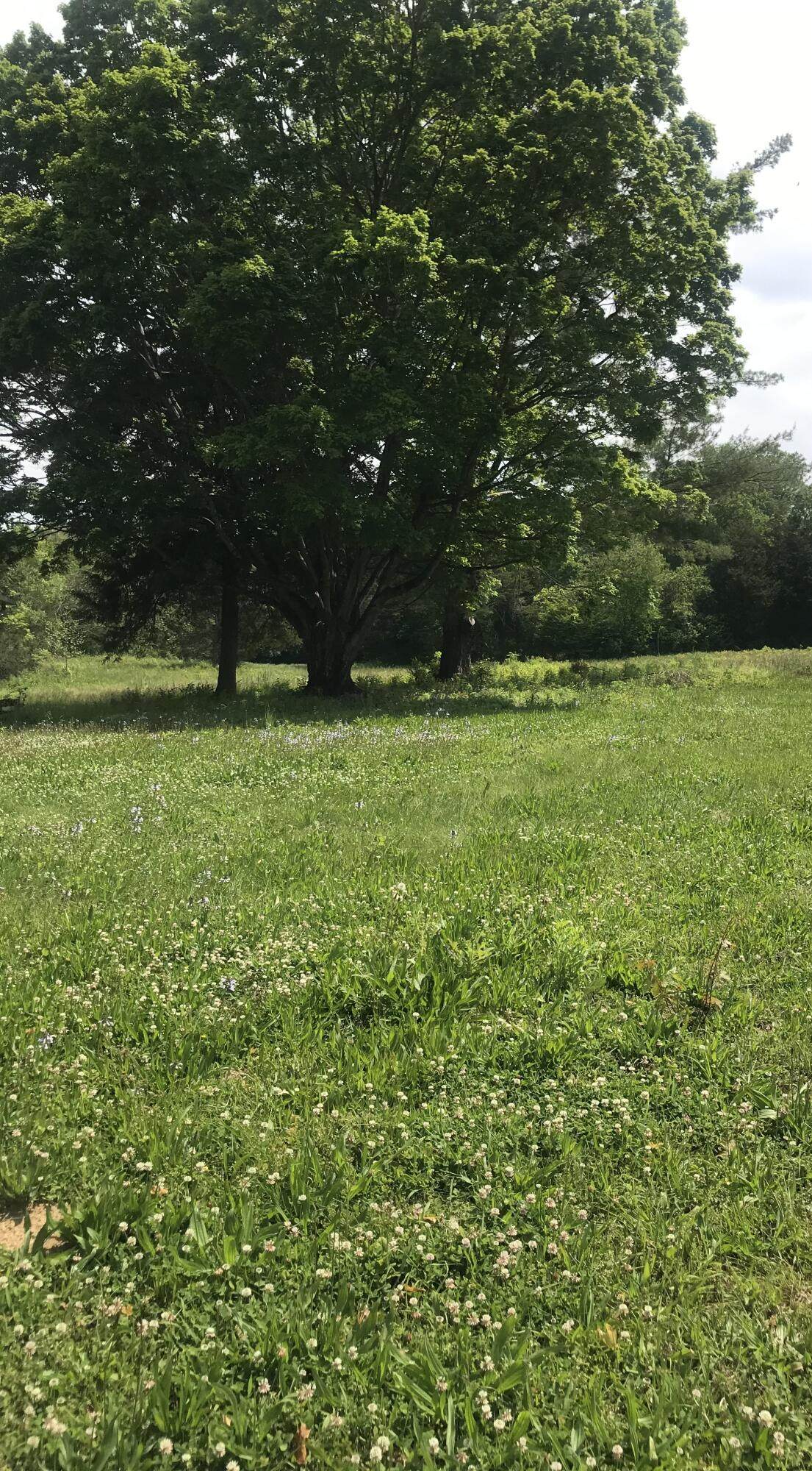 Lot#2 Johnson Road - Photo 1