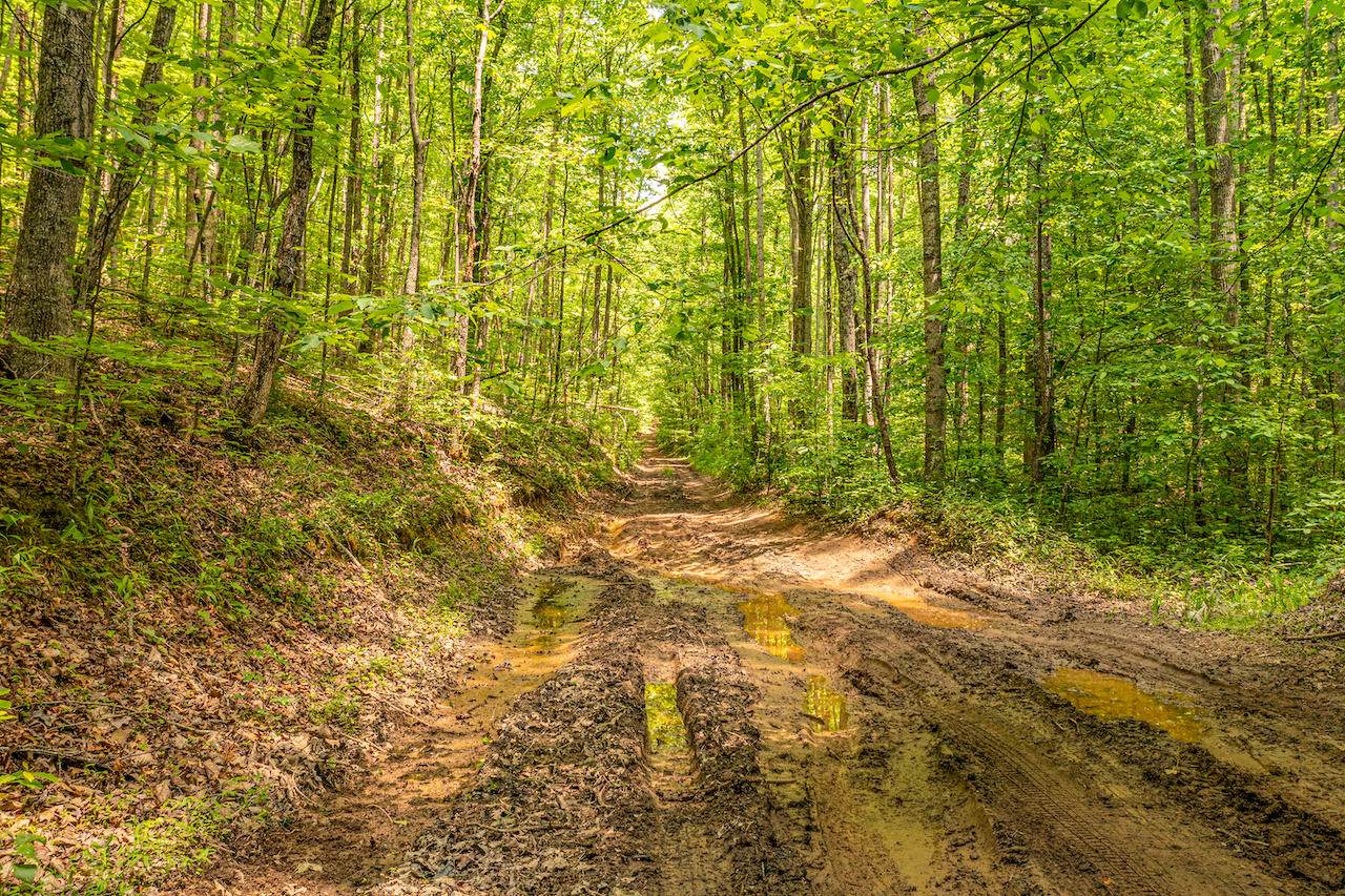 0 Butterfly Hollow Rd - Photo 1