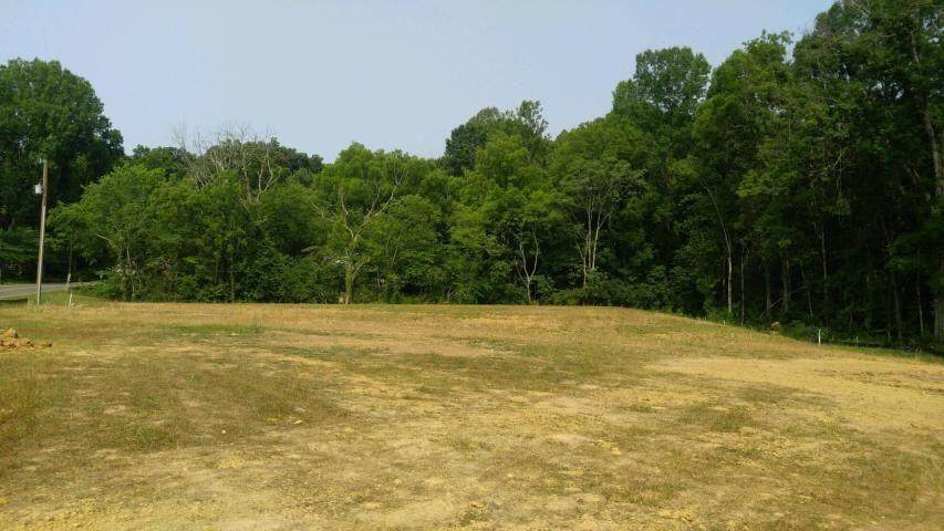 1706 Wilkinson Pike - Photo 1