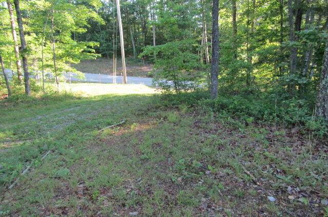 Lot 36 Green Ridge Tr - Photo 1