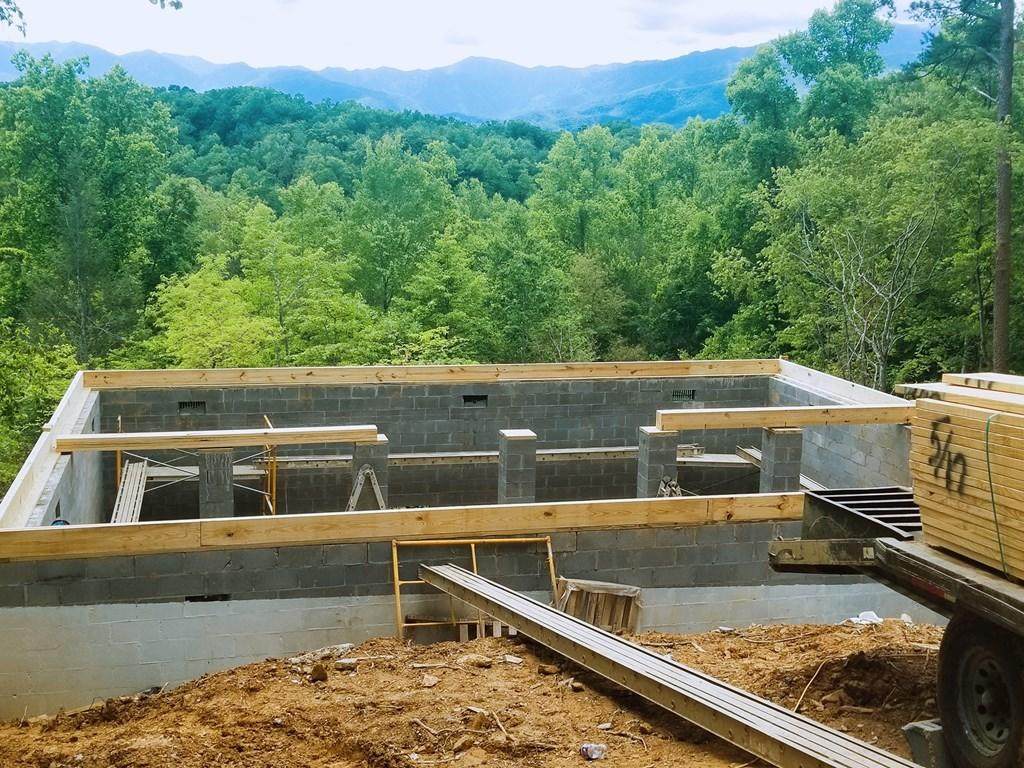 2506 Treehouse Lane Lane - Photo 1