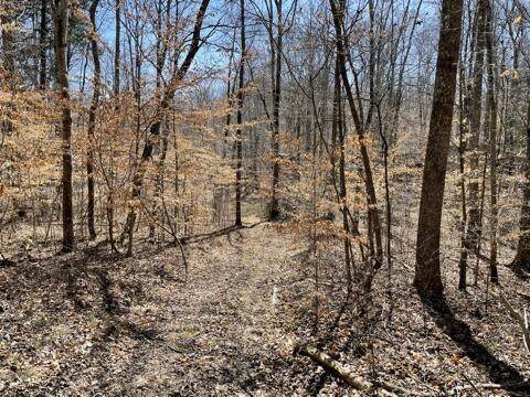 Bowers Lot 1 Rd - Photo 1