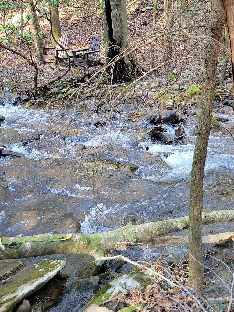 00 Tall Tree Trail - Photo 1