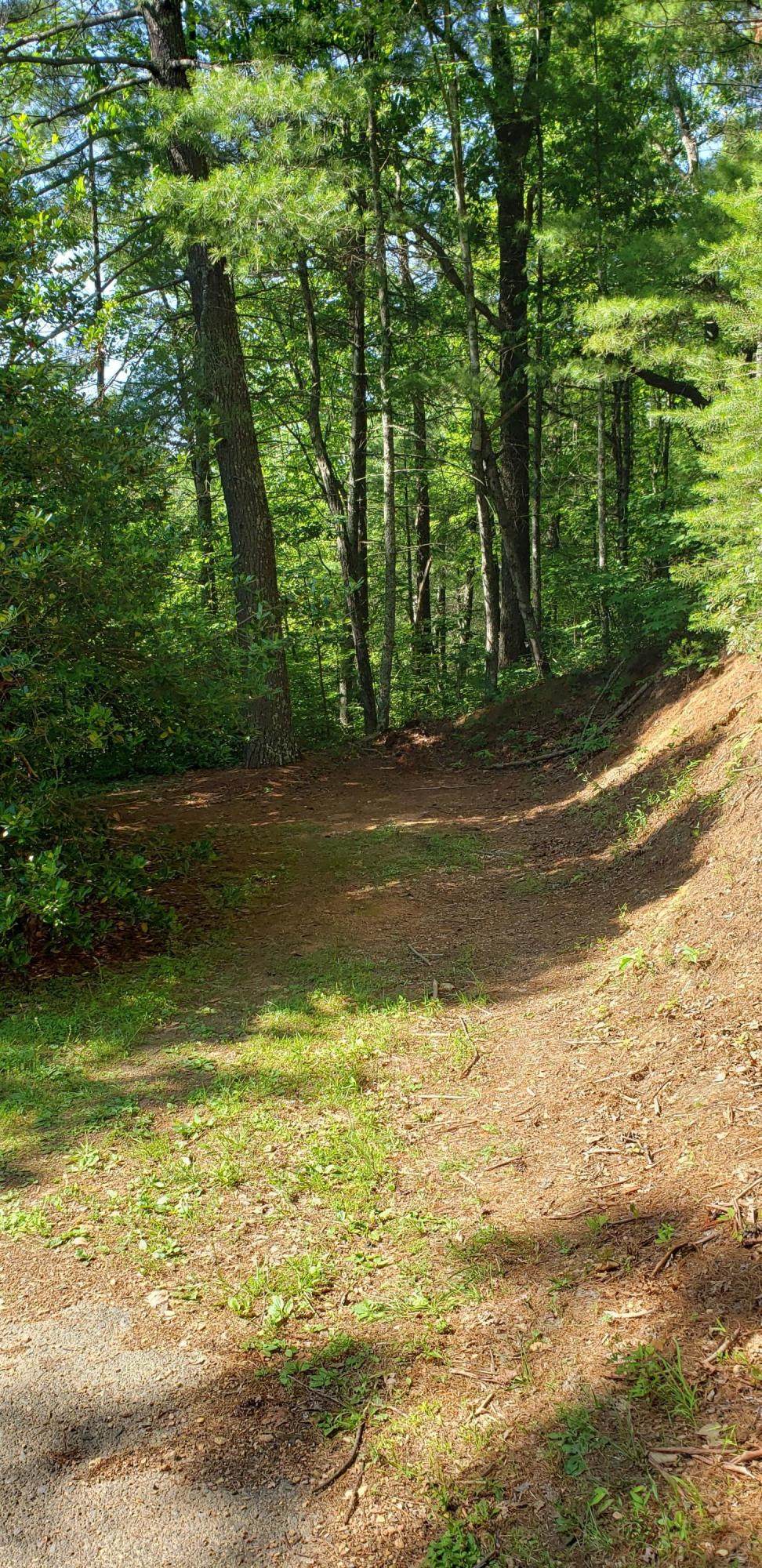 Lot #62R Bluestone Way - Photo 1