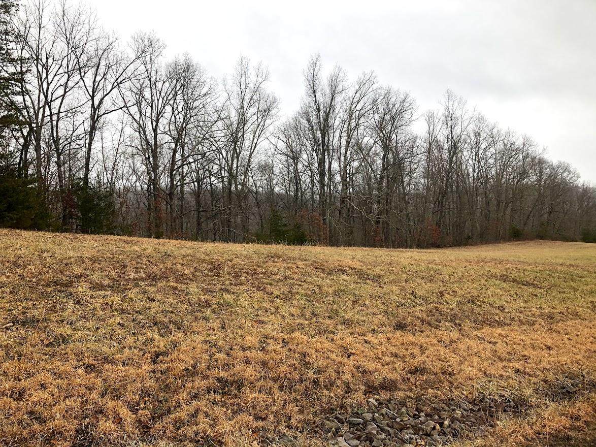 Lot 20 Tanner Way - Photo 1