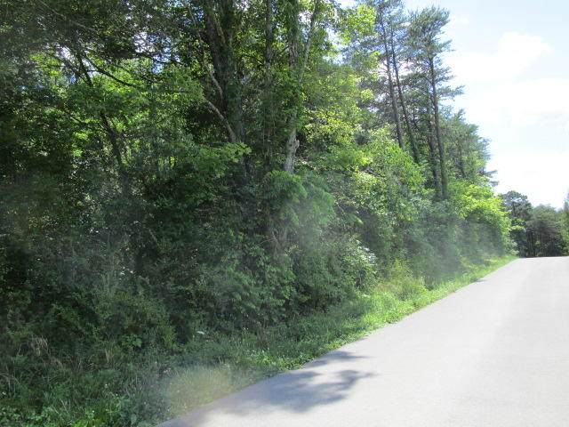 Lester Whitt Rd - Photo 1
