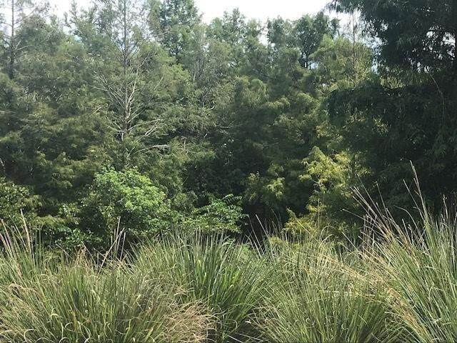 583 Cherrywood Drive - Photo 1
