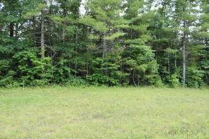 0 Hemlock Bluff Way - Photo 1