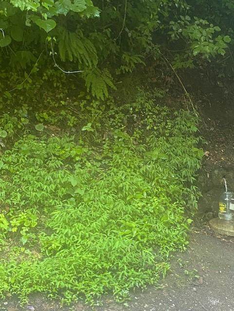 8535 Porterfield Gap Rd - Photo 1