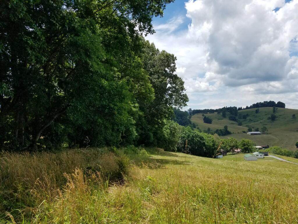 TBD Seal Town Rd - Photo 1