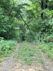 4119 Forest Trail Dr - Photo 1