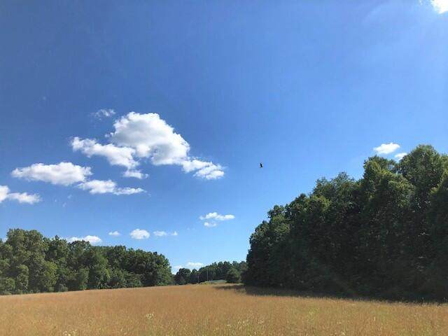 Bell Rd - Photo 1