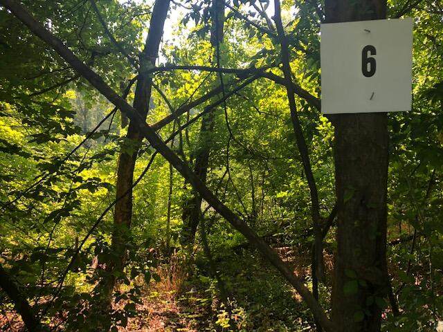 285 County Road 675 - Photo 1