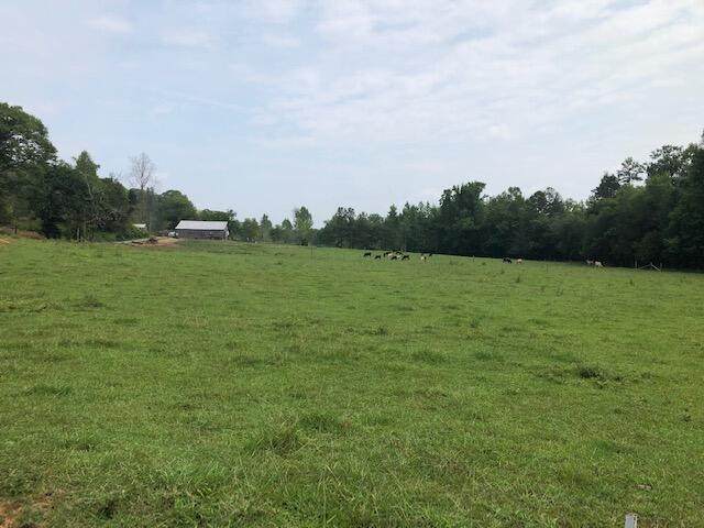 202 Co Rd 190 - Photo 1