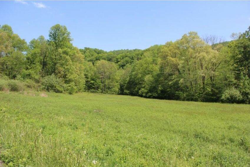 000 Mabe Stanleytown Rd - Photo 1