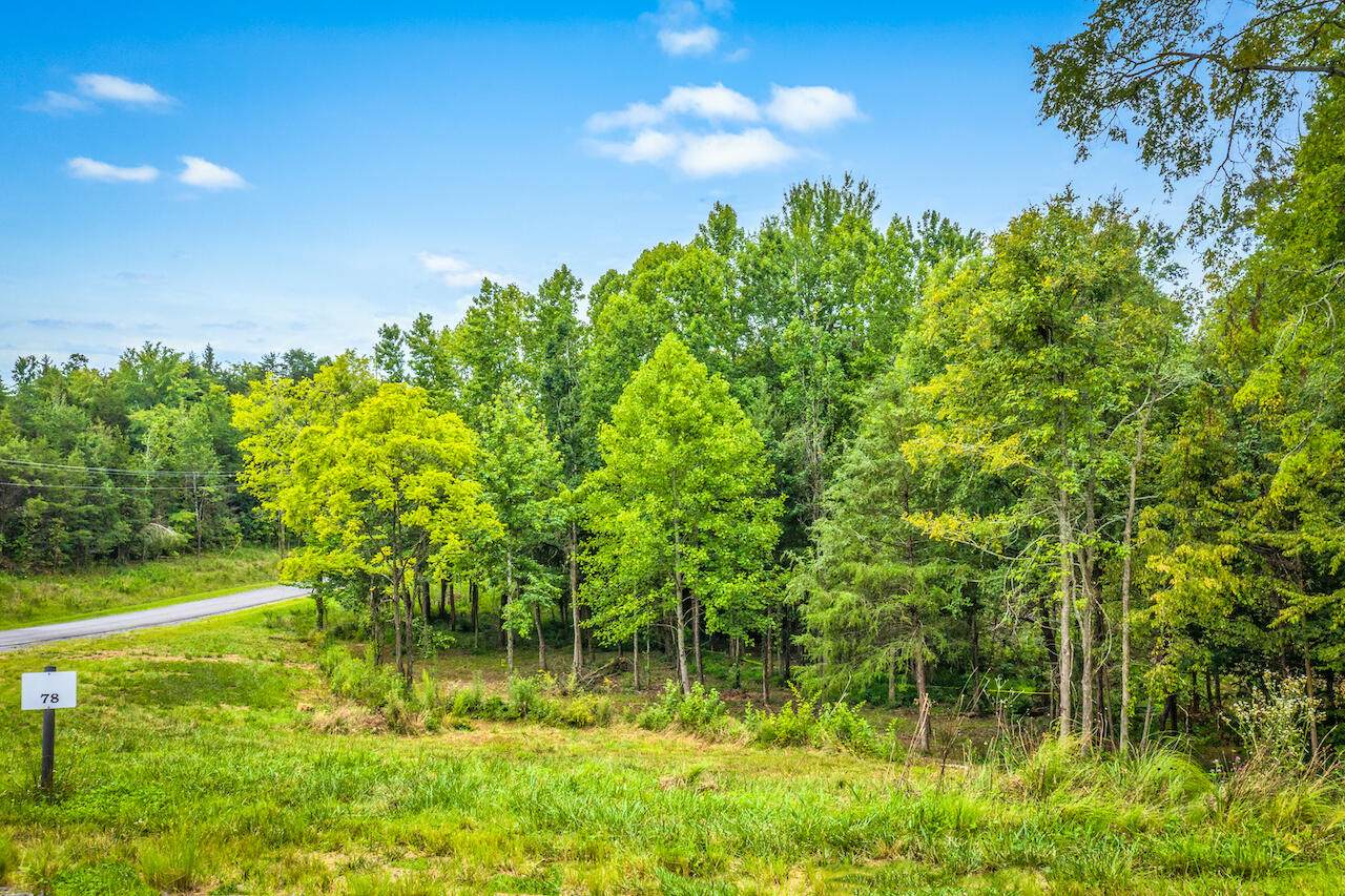 Harbor Ridge Lane - Photo 1