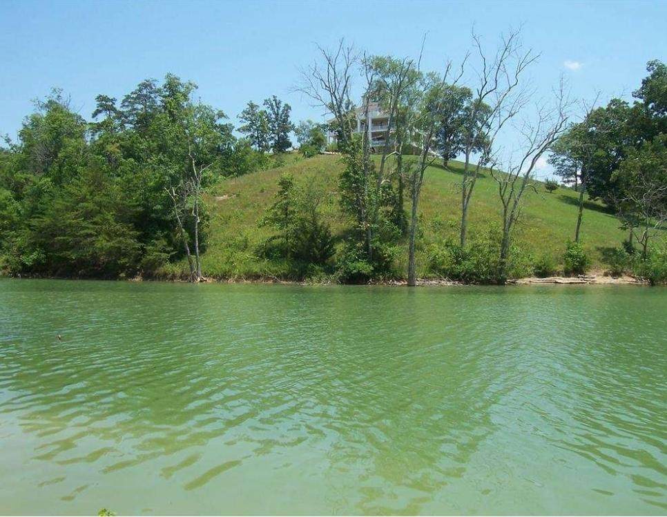 Lot 46 Stone Harbor Drive - Photo 1