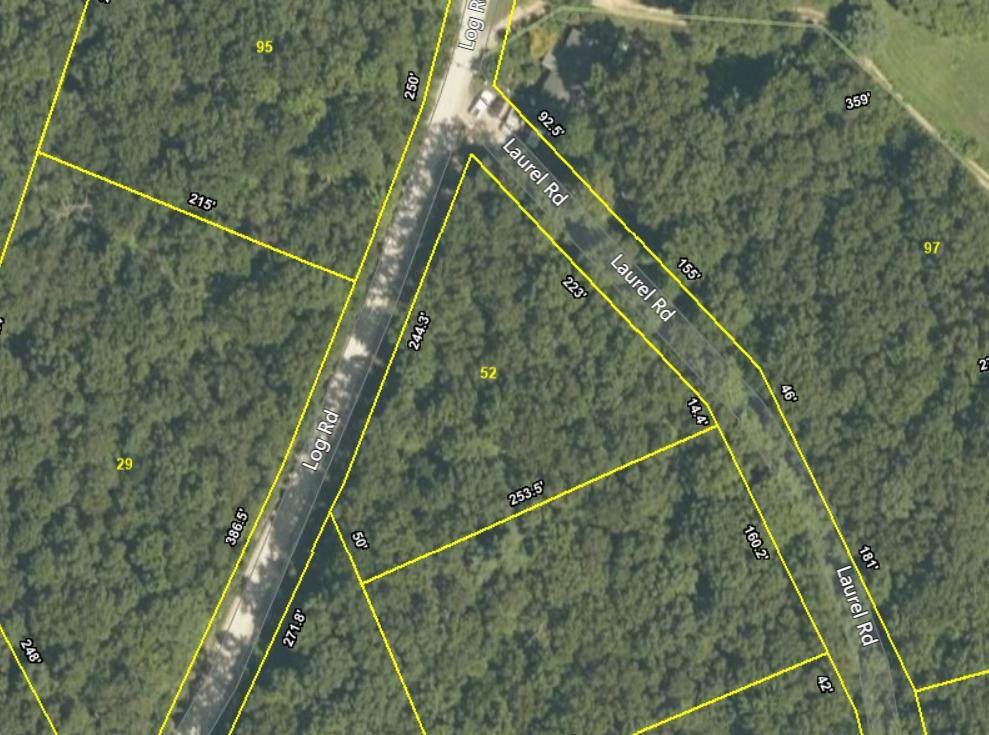 Lot 52 Laurel Road - Photo 1