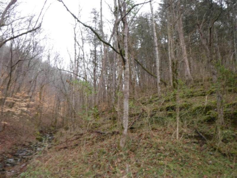 67ac Colepin Ridge Rd - Photo 1