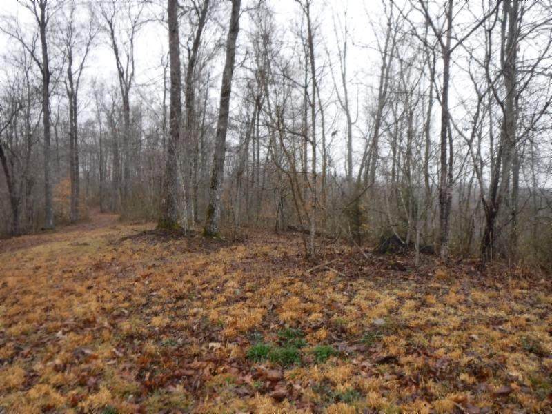 46ac Colepin Ridge Rd - Photo 1