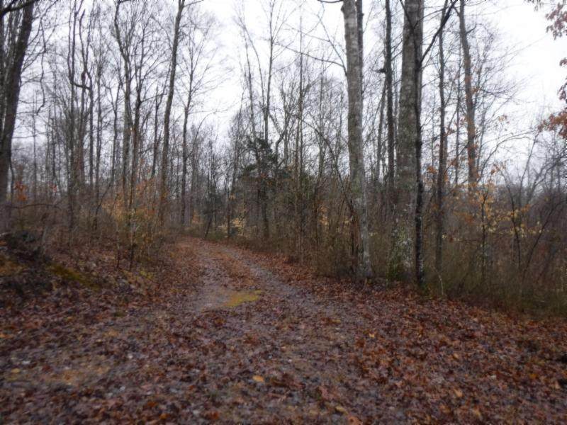 43ac Colepin Ridge Rd - Photo 1