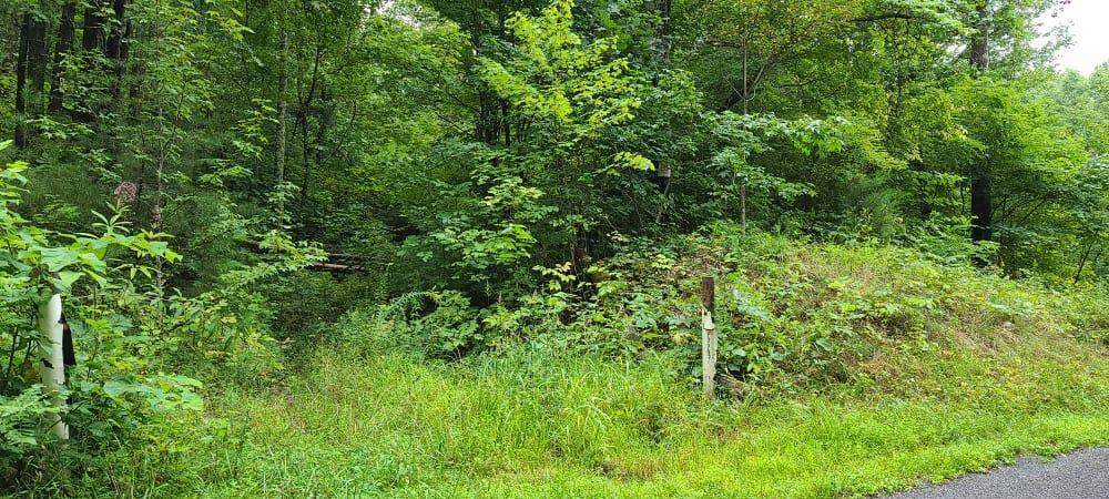 Sandy Valley Rd - Photo 1