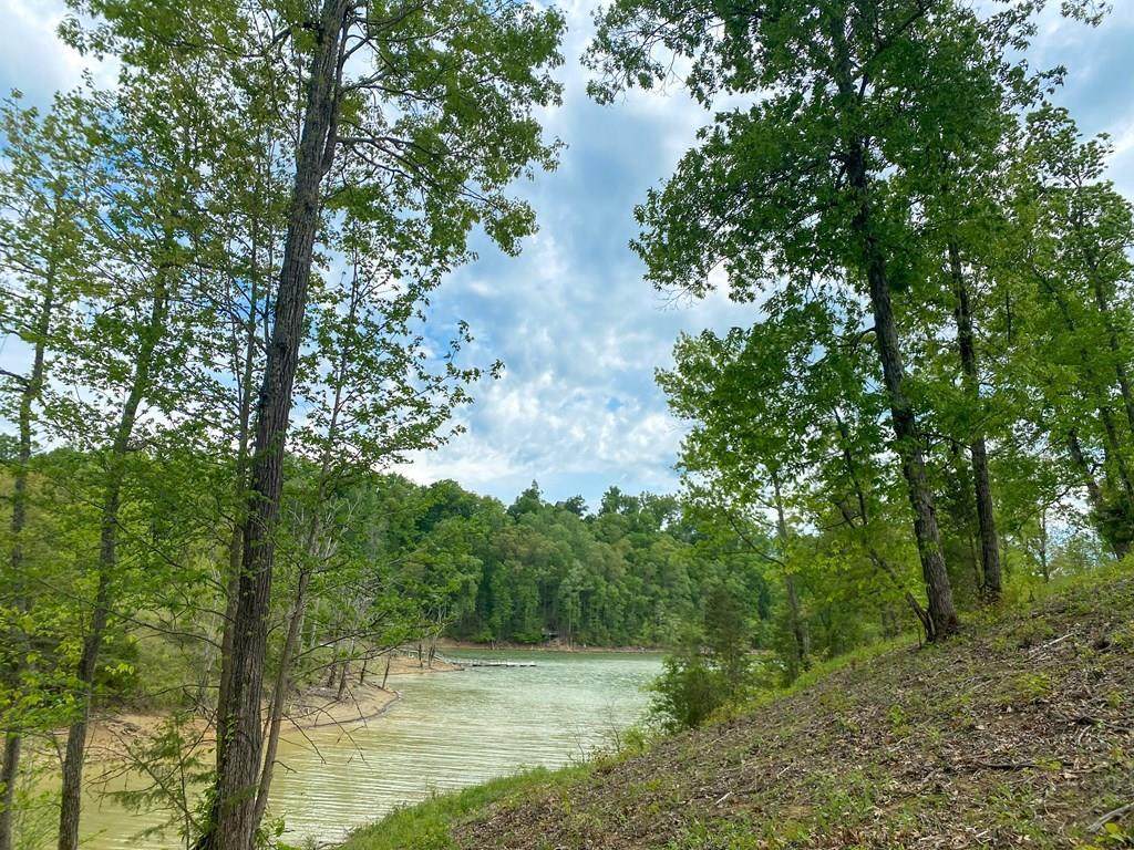 Lot 44 Stone Harbor Drive - Photo 1