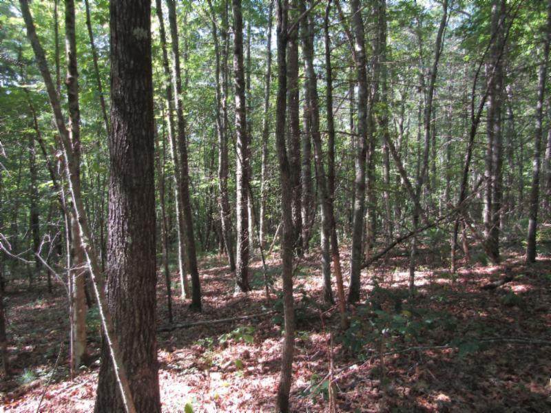 111 Hidden Lane - Photo 1