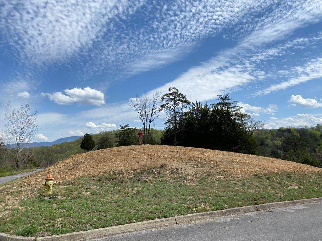 Lot 18 Harbor Point Drive - Photo 1