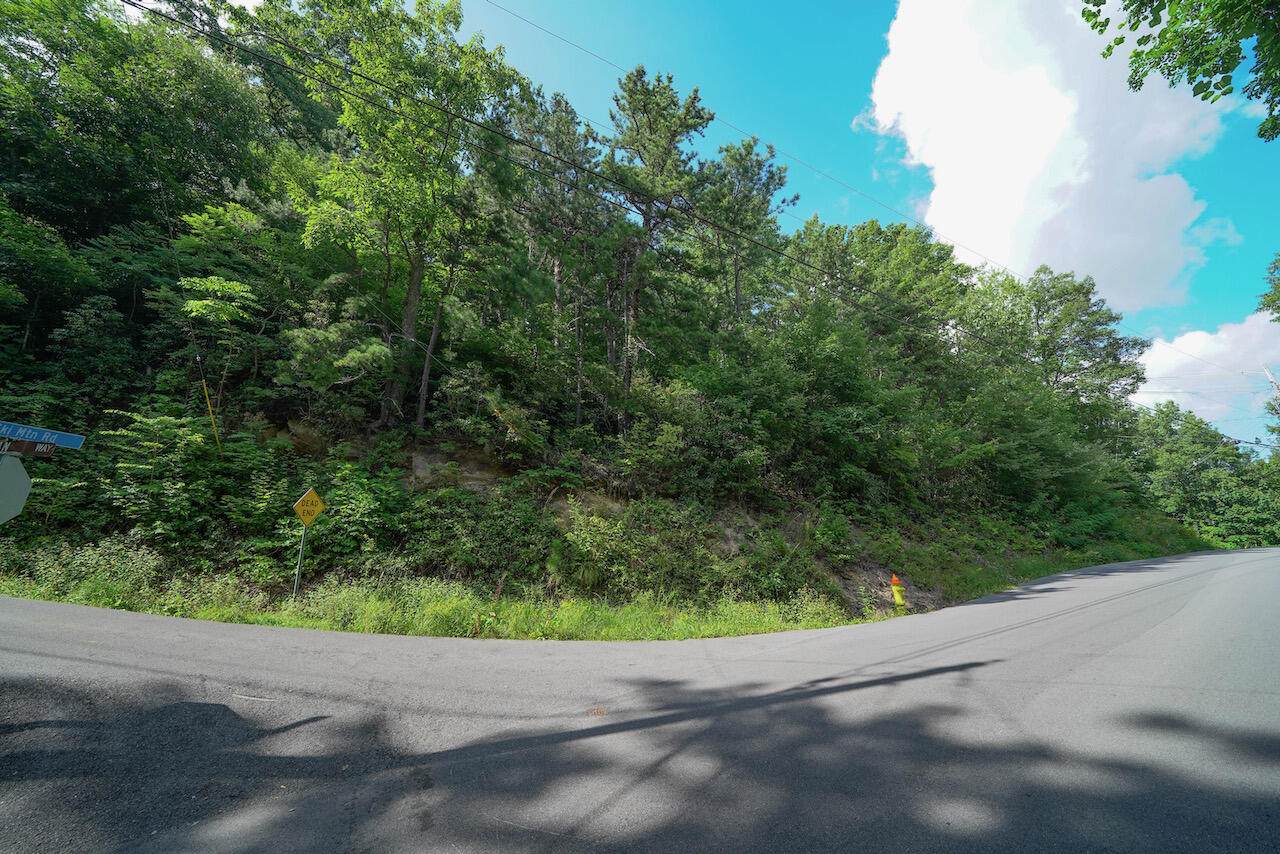 Lot 19/43/44 Upper Alpine Way - Photo 1