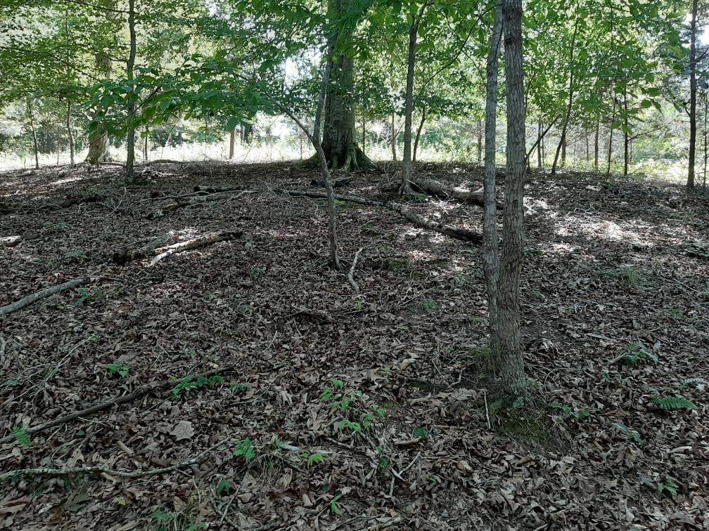 Deer Pond Circle - Photo 1