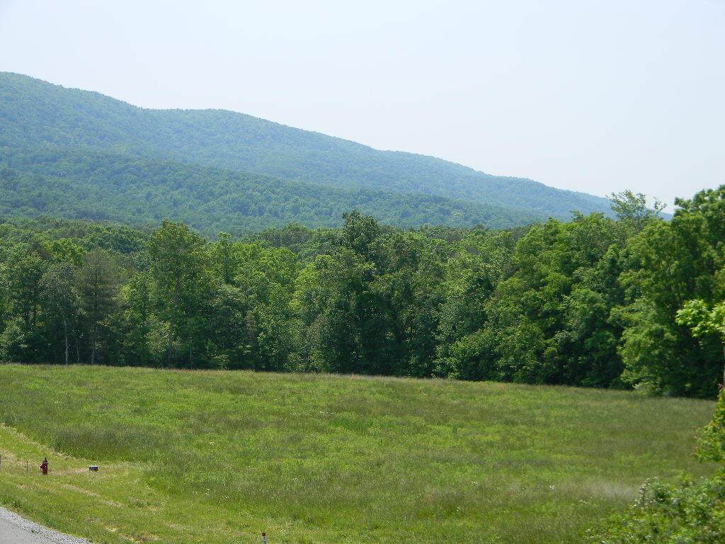 Lot 12 Houston Drive - Photo 1
