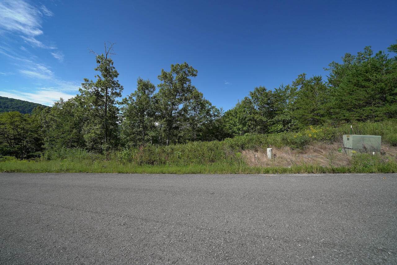 Lot 13 Mountain Ash Way - Photo 1