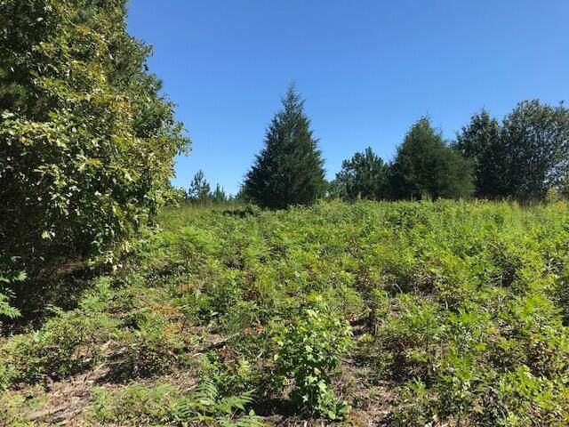 Tract 2 Athens Road - Photo 1