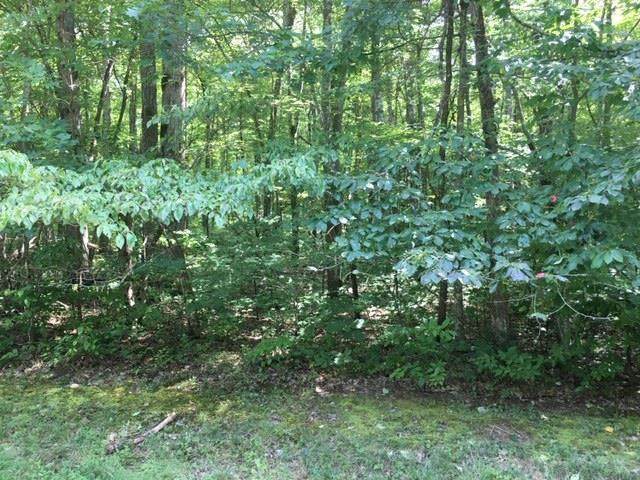 Cliff Park Rd - Photo 1