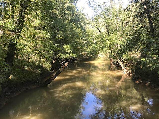 Tract 33 Pinhook Road - Photo 1
