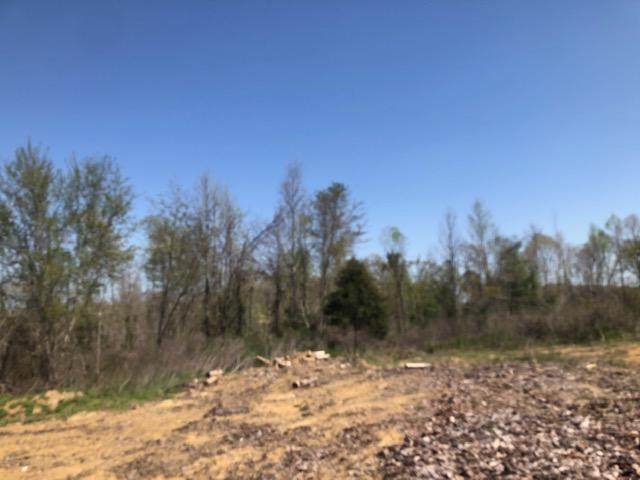 County Road 290 - Photo 1