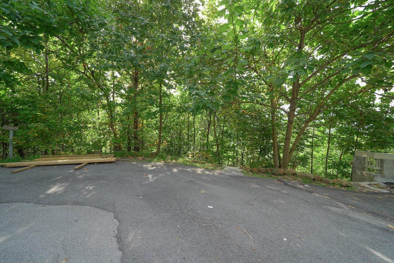 Lot 5 Old Field Ridge Way - Photo 1