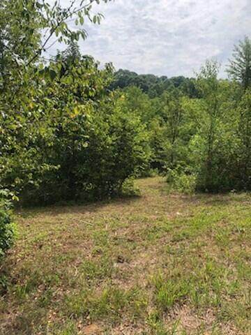 Lot 1 Old Liberty Hill Rd - Photo 1