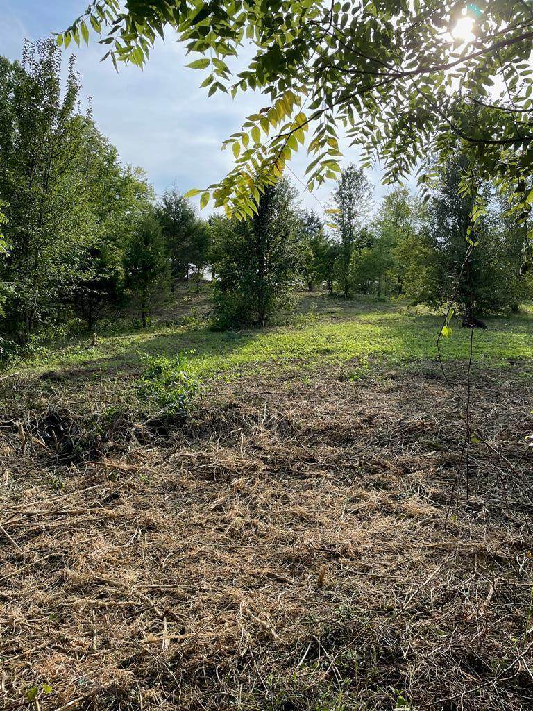 Lot 2 Old Liberty Hill Dr - Photo 1