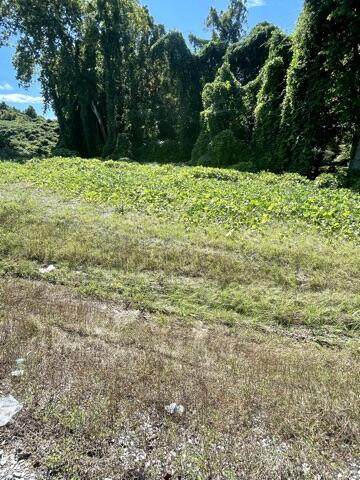 9005 Chapman Hwy - Photo 1
