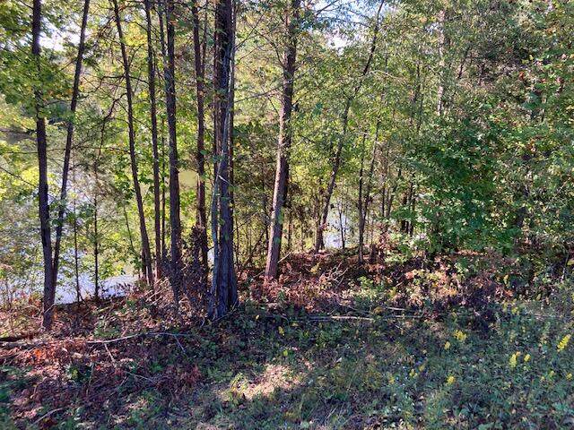 Blue Heron Bluff Drive - Photo 1