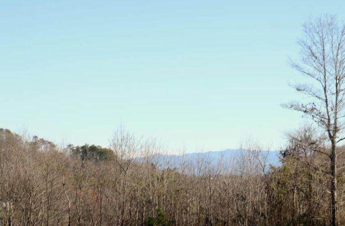 4128 Sweetwater Vonore Rd - Photo 1