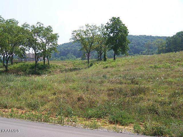 Lot 121 Russell Brothers Rd - Photo 1