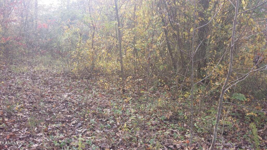 Lake Brook Lane - Photo 1