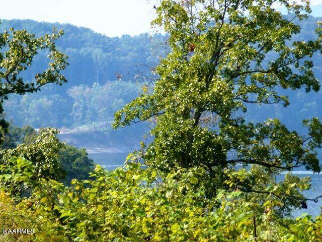 Lot 31 Stone Shore Way - Photo 1