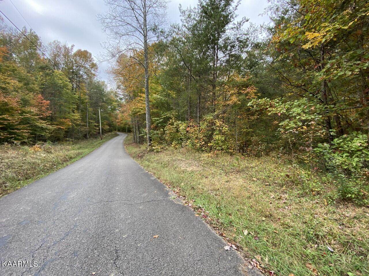 Tract 5 Of Deermont Rd - Photo 1
