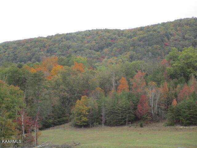 Poor Valley - Photo 1