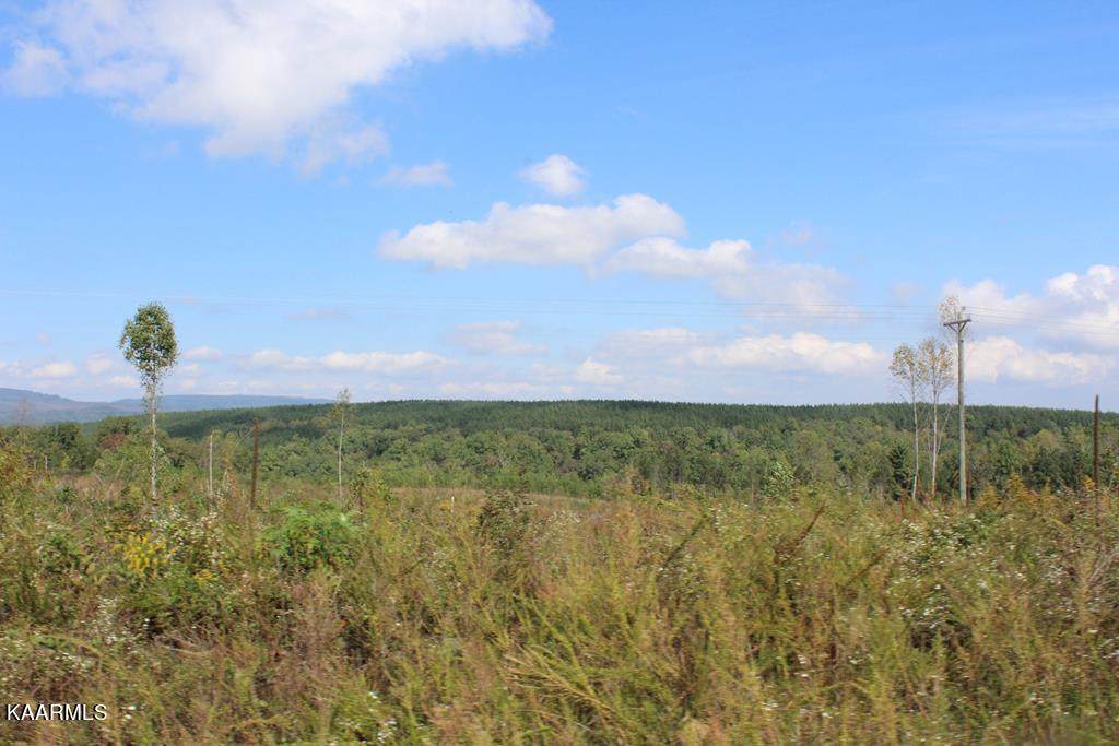Shut In Gap Rd - Photo 1